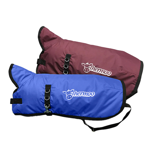 Colostrum Feeders and Bags